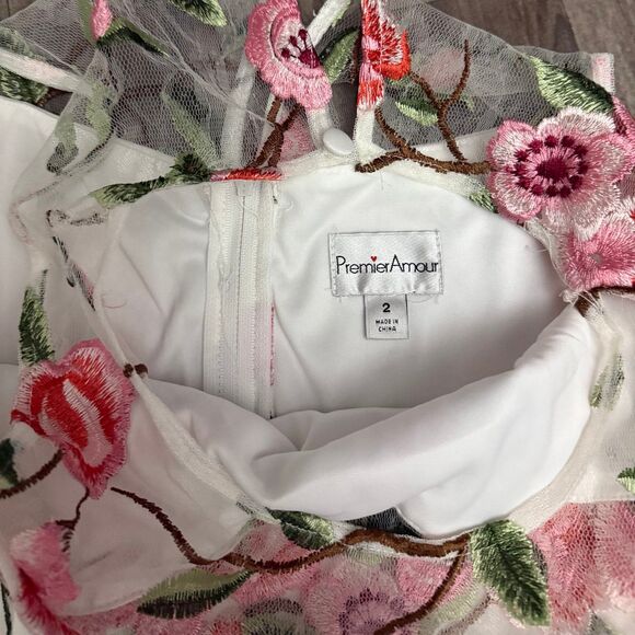 Cherry blossom embroidered mesh lined dress - Picture 6 of 7